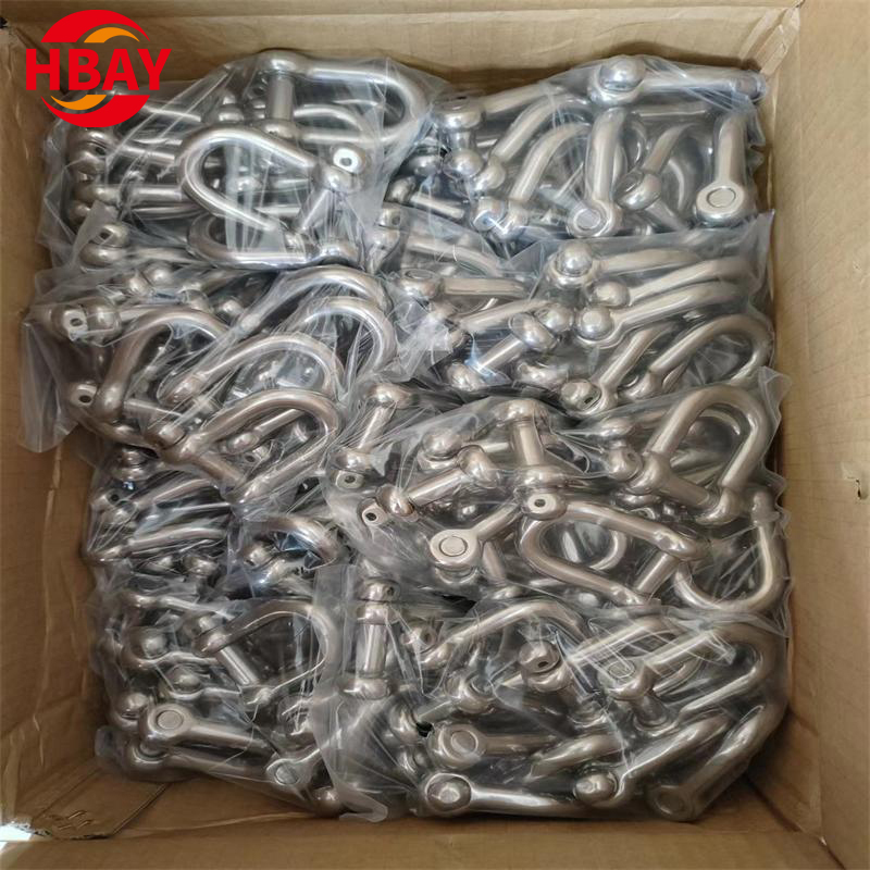 Rigging Hardware 304/316Stainless Steel Hexagon Pin Polished D Shackle European Type D Shackle